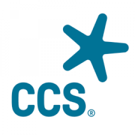 CCS (2)