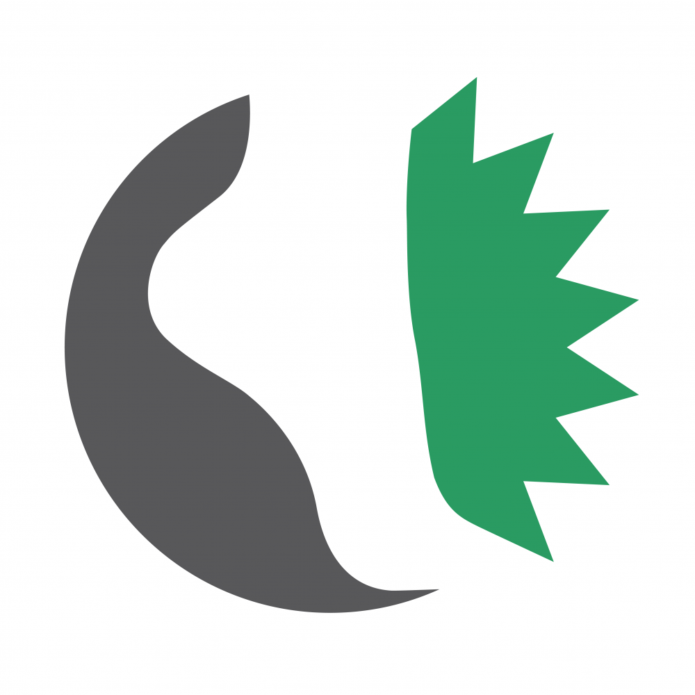 LaserCAM Orthotics - Token LaserCAM Orthotics - Token